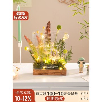 阿楹 玄關燈擺件洞洞板轉角綠植辦公桌電視柜仿真花造景周歲布置