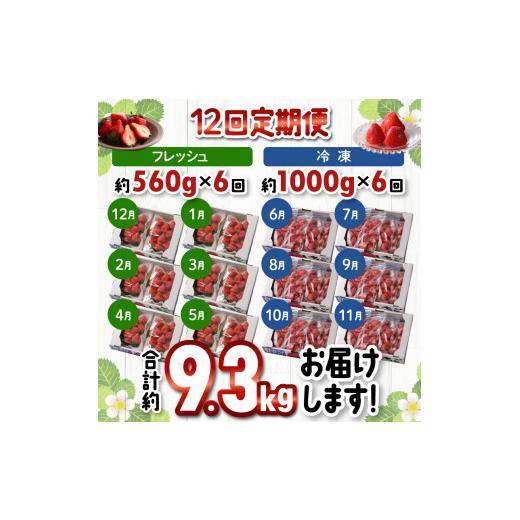 ふるさと納税 福岡県 久留米市 　あまおう　約５６０ｇ（約２８０ｇ×２パック）× １２月〜５月まで計６回　　 冷凍あまおう　１００…