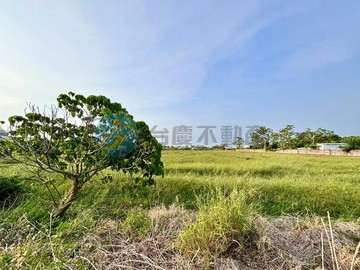 佳里大全聯方正優美農地B｜台南市佳里區三協段