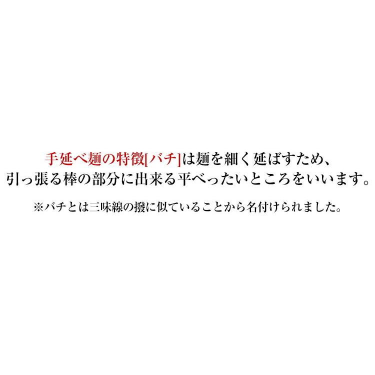 手延べうどん 「数量限定 本格生うどん」 1kg 半生麺 かも川 かも手の麺 かも手うどん ポイント消化 敬老の日 ギフト グルメ