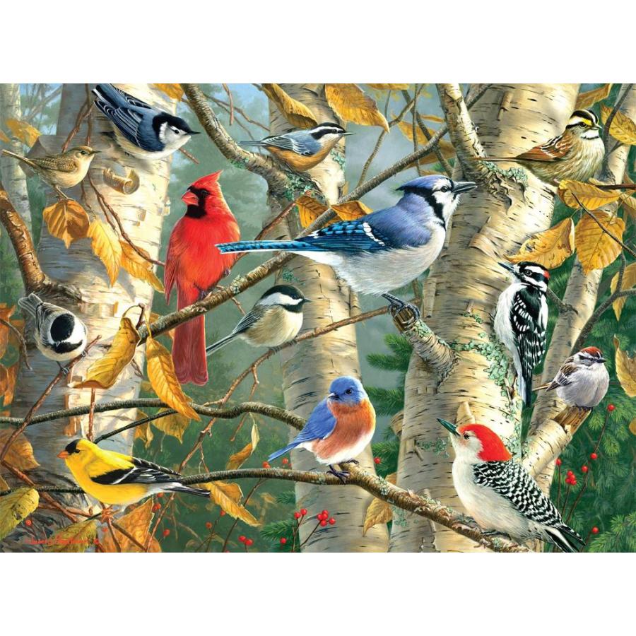 Buffalo Games 1000-Piece Hautman Brothers - Birds, Blooms and Butterflies  Interlocking Jigsaw Puzzle 