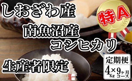 生産者限定 契約栽培 南魚沼しおざわ産コシヒカリ