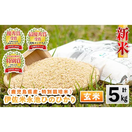 ふるさと納税 isa400 令和5年産 新米 特別栽培米 永池ひのひかり玄米(5kg) 鹿児島でも極良食味のお米が出来る永池地区で作ったお米！九州米サ.. 鹿児島県伊佐市