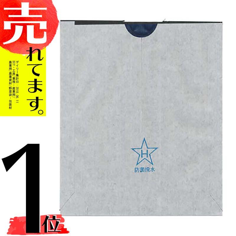 りんご　0819 楽天市場】【ふるさと納税】先行予約 5種類の りんご MIX
