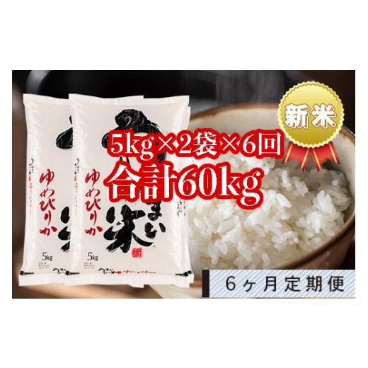 ふるさと納税 北海道 雨竜町 うりゅう米「ゆめぴりか」5kg×2袋 定期便！毎月1回・計6回お届け