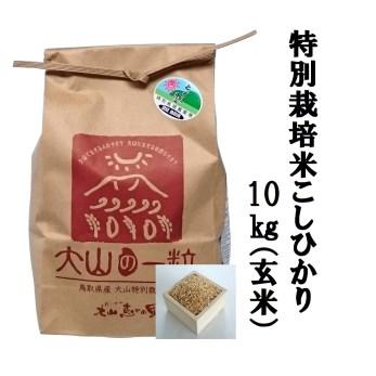 ふるさと納税 MS-15　特別栽培米こしひかり10kg（玄米）令和5年産新米 鳥取県大山町