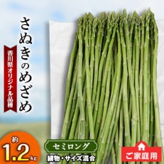 ご家庭用　さぬきのめざめセミロング(細物・サイズ混合)　約1.2kg