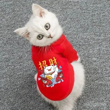 ❤️臺灣出貨❤️喜慶寵物衣服不掉毛秋冬款貓貓小型幼犬柯基博美防凍招財貓咪衛衣 MYTX