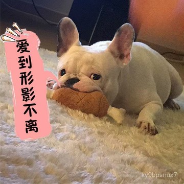 💕喵狗鋪🔥寵物毛絨發聲玩具 寵物毛絨玩具 狗玩具 寵物發聲玩具 貓狗玩具 寵物啃咬玩具 狗狗玩具 造型玩具