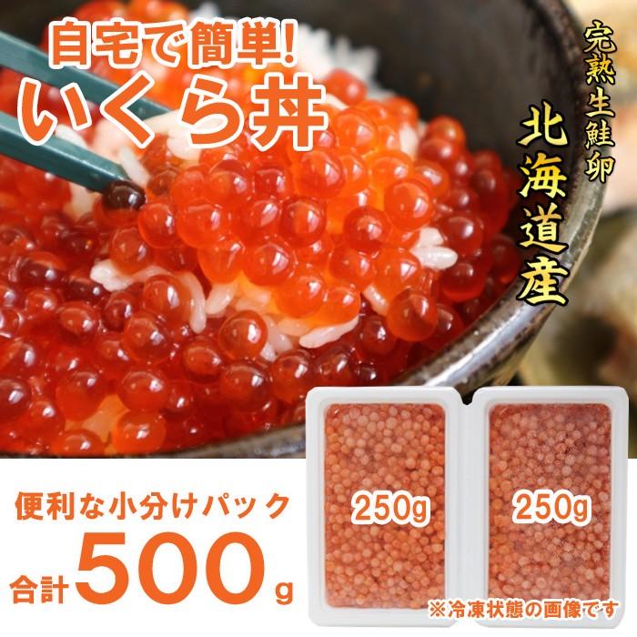 北海道産 いくら 醤油漬け 500ｇ イクラ 冷凍 国産 海鮮 ギフト  プレゼント グルメ