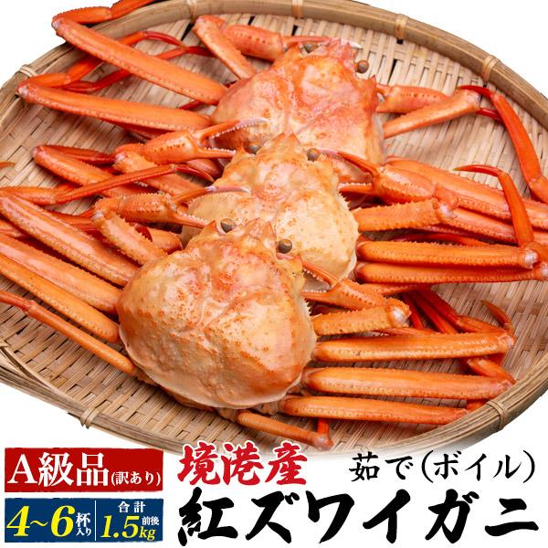 訳あり 茹で 紅ズワイガニ  (4〜6杯 合計1.5kg前後)  A級品 ボイル 紅ずわい蟹 国産 蟹 姿 鮮魚 日本海産 カニ 未冷凍 産地直送 お取り寄せ 食材 冷蔵配送