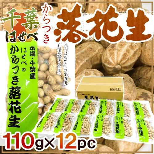 千葉産 ”からつき落花生” 110g×12袋 はせべ 国産 ピーナッツ 送料無料