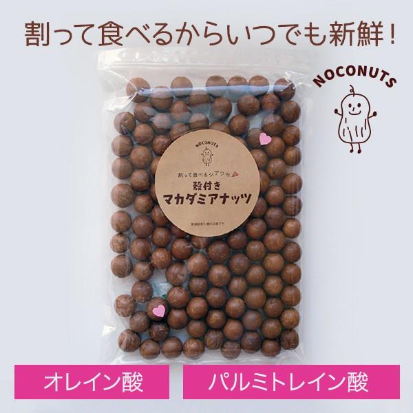 割って食べるから新鮮香ばしい　殻付きマカダミアナッツ　800g　マカデミアナッツ