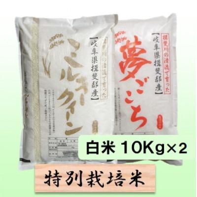 ふるさと納税 池田町 特別栽培米 20kg(ミルキークイーン 夢ごこち)