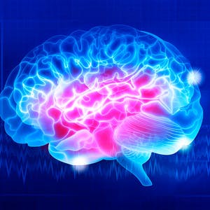 Introducción a la Neurociencia