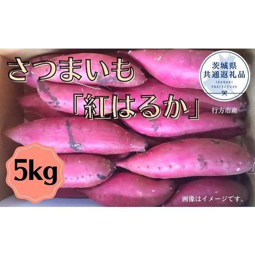 ふるさと納税 茨城県 鉾田市 さつまいも「紅はるか」5kg（茨城県共通返礼品／行方市産）