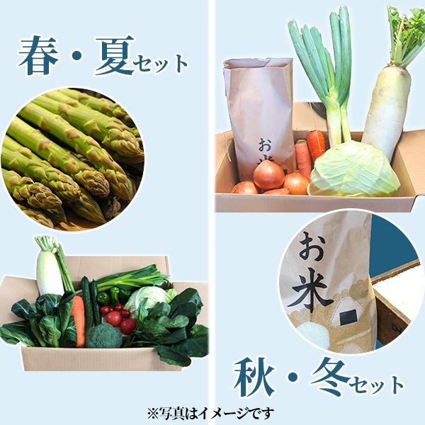 西会津ミネラル野菜セット（小）3回（8〜10品目）2名様1週間分相当