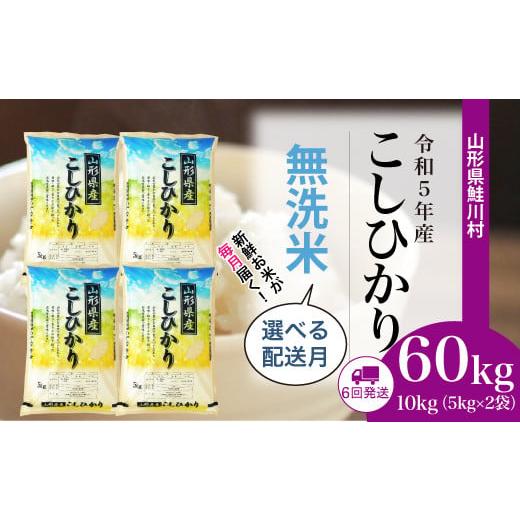 ふるさと納税 山形県 鮭川村 令和5年産　鮭川村　コシヒカリ60kg定期便（10kg×6回発送）