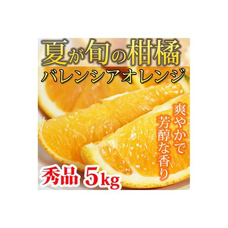 ふるさと納税 秀品　希少な国産バレンシアオレンジ 5kg ※2024年6月下旬〜7月上旬頃に順次発送予定 和歌山県美浜町