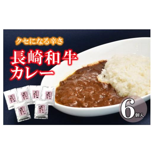 ふるさと納税 長崎県 諫早市 クセになる辛さの「長崎和牛カレー」6パック入