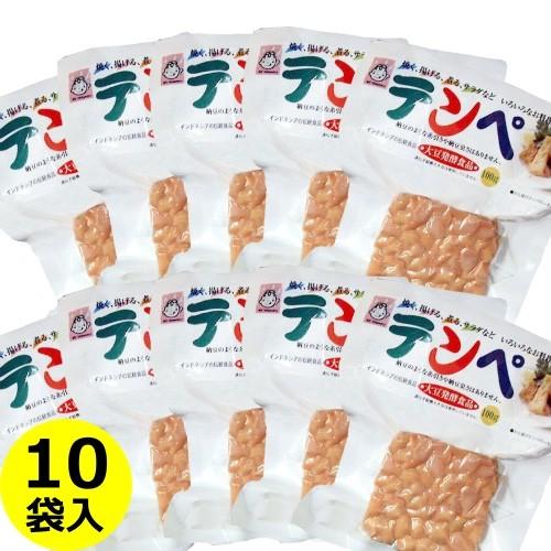 送料無料 ヤマク テンペ  100g×10袋 無塩 発酵 健康食品