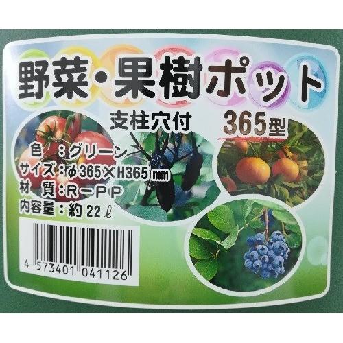 野菜・果樹ポット 365型　12号　グリーン　（10個セット・送料無料）