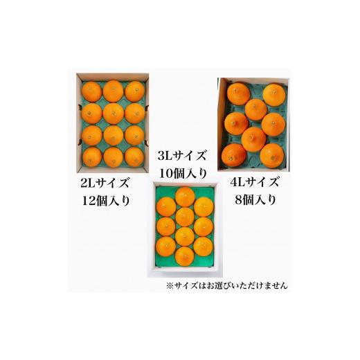 ふるさと納税 愛媛県 大洲市 紅まどんな（JA愛媛たいき管内産） 2L〜４Lサイズ　8個〜12個入り