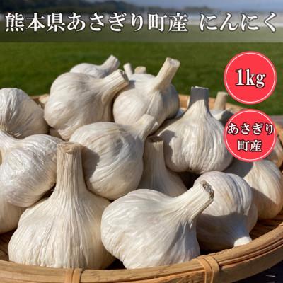 ふるさと納税 あさぎり町 熊本県産　生にんにく 1kg