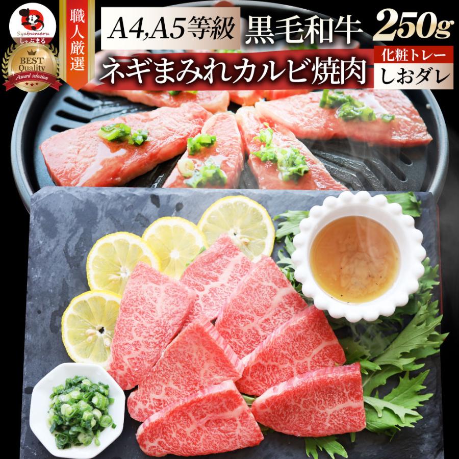 A4,A5等級 特選 黒毛和牛 カルビ焼肉 250g  ねぎまみれ 旨塩ダレ（ A4 〜 A5等級 ）牛肉 肉 お歳暮 ギフト 食品 お祝い  霜降り 贅沢 黒毛 和牛