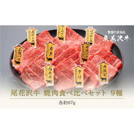 ふるさと納税 焼肉 尾花沢牛 A4-5 焼肉食べ比べセット 9種 約3〜4人前 (牛肉 焼肉 黒毛和牛 国産 焼肉 山形牛 焼肉セット 食べ比べ焼肉セット .. 山形県尾花沢市