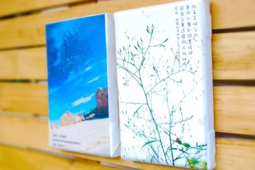 那真正拜父的，要用心靈和誠實拜他，因為父要這樣的人拜他。