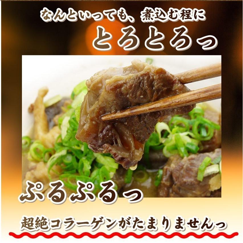 牛肉 肉 お肉屋さんの 国産 牛スジ 牛 生 すじ 煮込み用 スジ 900g 訳あり *冷凍便