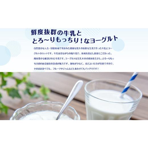 ふるさと納税 熊本県 湯前町 球磨酪農おすすめセットB（瓶牛乳ヨーグルト加糖×2個）