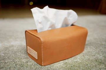 衛生紙的獨立套房