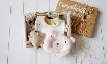 萌睡小鳥圍兜彌月禮 彌月禮盒組、防水圍兜、哺乳手枕