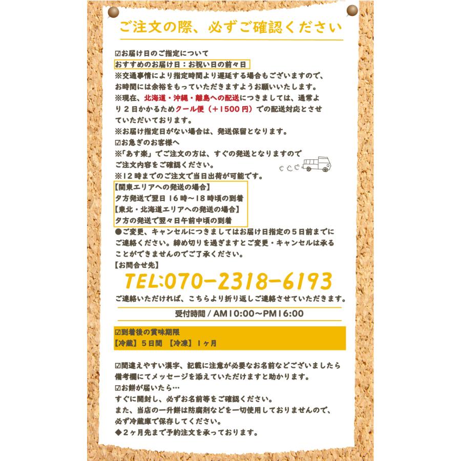 シェアできる！ハート餅のお祝いセット35プラン(小分け 一升餅 一生餅 背負い餅) 一升餅 セット