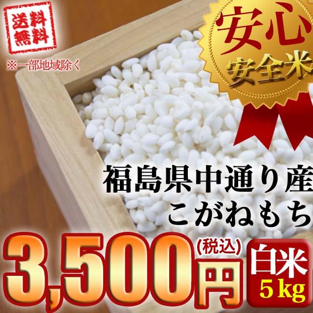 もち米 新米 お米 令和5年産 福島県中通り産こがねもち白米5kg 送料無料 ※一部地域を除く