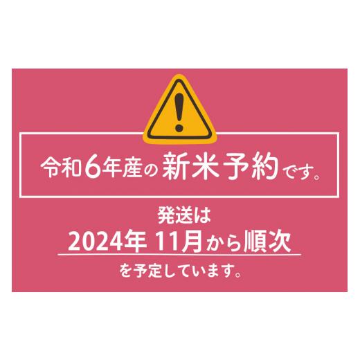 ふるさと納税 秋田県 由利本荘市 ※令和6年産 新米予約※《定期便8ヶ月》5年連続特A 秋田県産ひとめぼれ 計20kg (5kg×4袋) お届け周期調整可能 隔月…