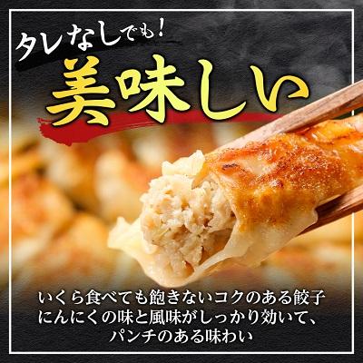 ふるさと納税 大和高田市 鉄人餃子　150個(30個×5袋)