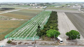 四湖東光國小旁｜2.7分有水電方正農地｜雲林縣四湖鄉東光段