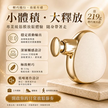 日本 REGULIS MINI 迷你口袋型多功能按摩槍-AN1211