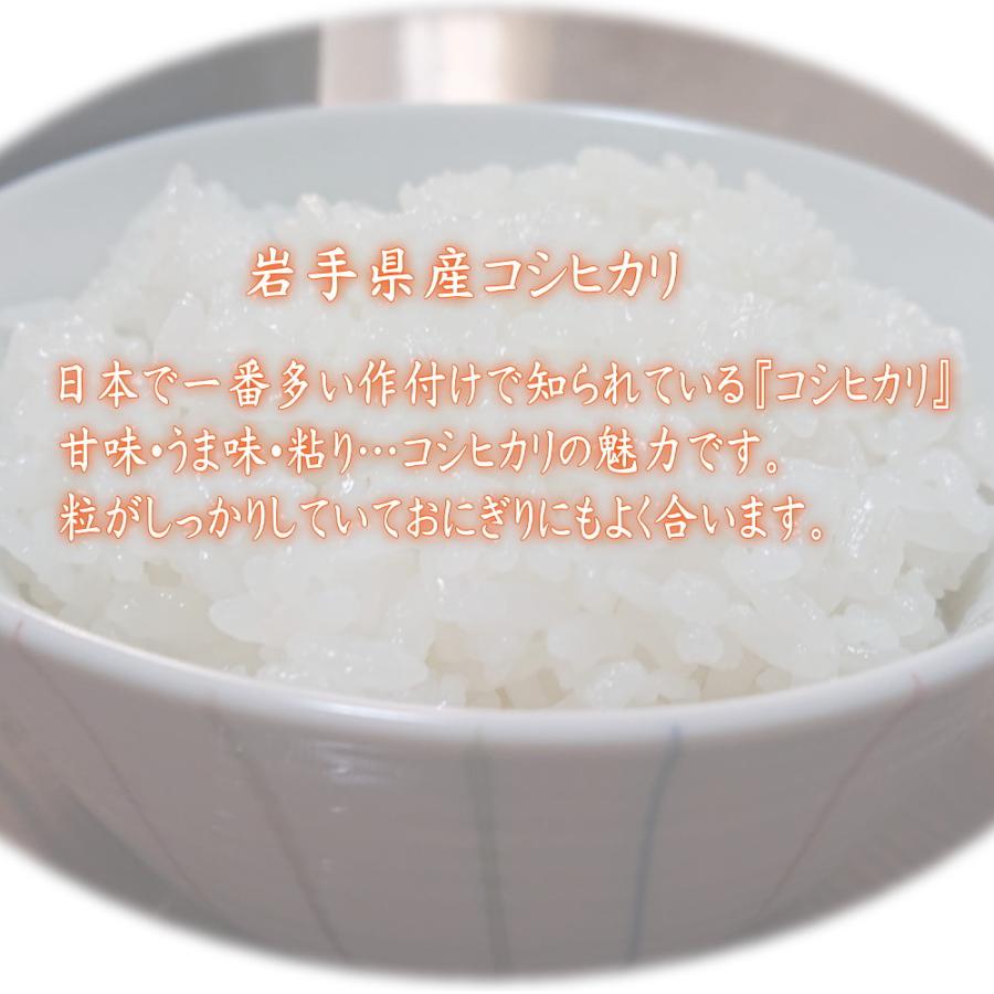 米 新米 令和5年 無洗米 米 お米 10kg コシヒカリ 5kg×2袋  岩手県産 送料無料