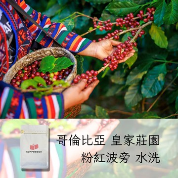 哥倫比亞 皇家莊園 粉紅波旁 水洗 淺焙 (半磅)【柏克斯咖啡】
