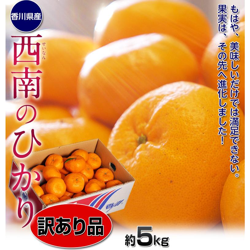 訳あり品 『西南のひかり』 香川県産 柑橘 約5kg S〜2Lサイズ ※常温 送料無料