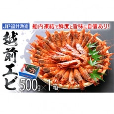 船凍越前えび 500g