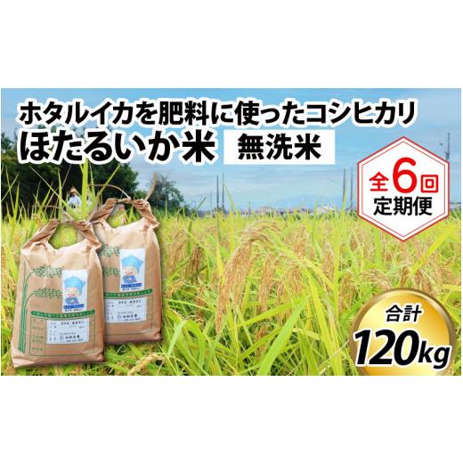 ふるさと納税 富山県 滑川市 ほたるいか米（無洗米20kg）×6回 計120kg