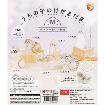 現貨 正版 貓咪毛小孩的毛球再版再販扭蛋 透明吊飾 貓 茶色 三花貓 狸花貓 全6款扭蛋 轉蛋