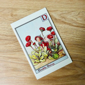 花仙子 字母系列 經典明信片 - Double Daisy/ 重瓣雛菊