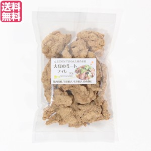 大豆ミート 国産 ヒレ 大豆ミート フィレ 90g  送料無料