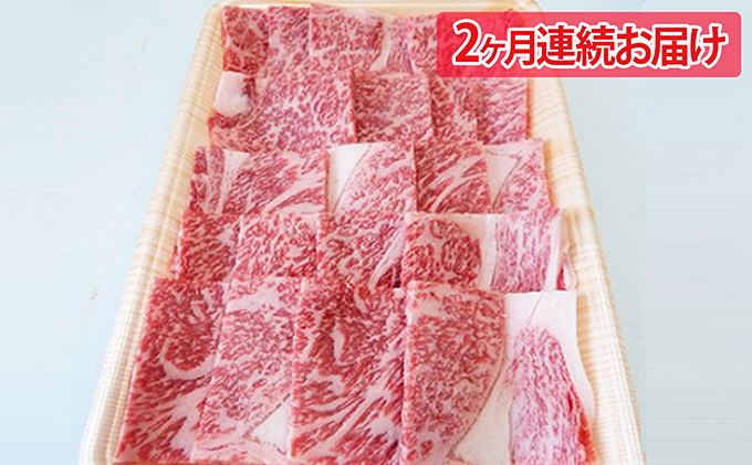 2ヶ月頒布会　A5等級飛騨牛焼き肉用500g　ロース又は肩ロース肉